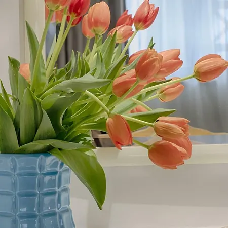 公寓式酒店 Luna Miramar Club 阿尔布费拉