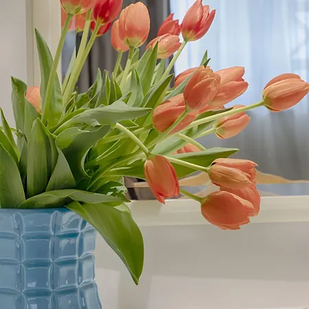 Ξενοδοχείο με διαμερίσματα Luna Miramar Club Αλμπουφέιρα